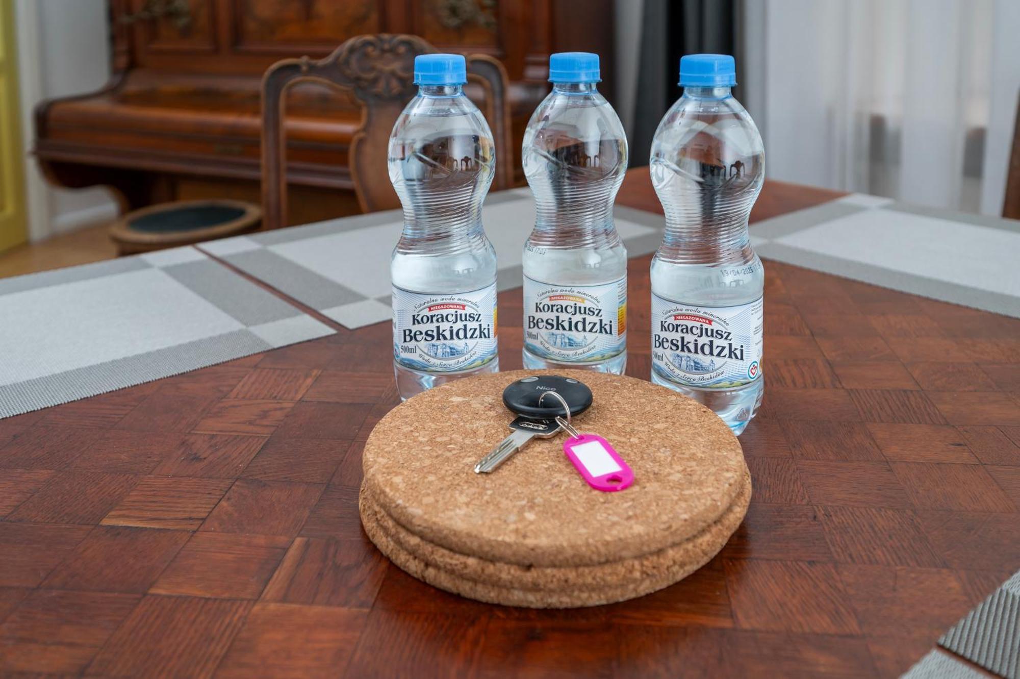 Central Family Apartment Λοτζ Εξωτερικό φωτογραφία